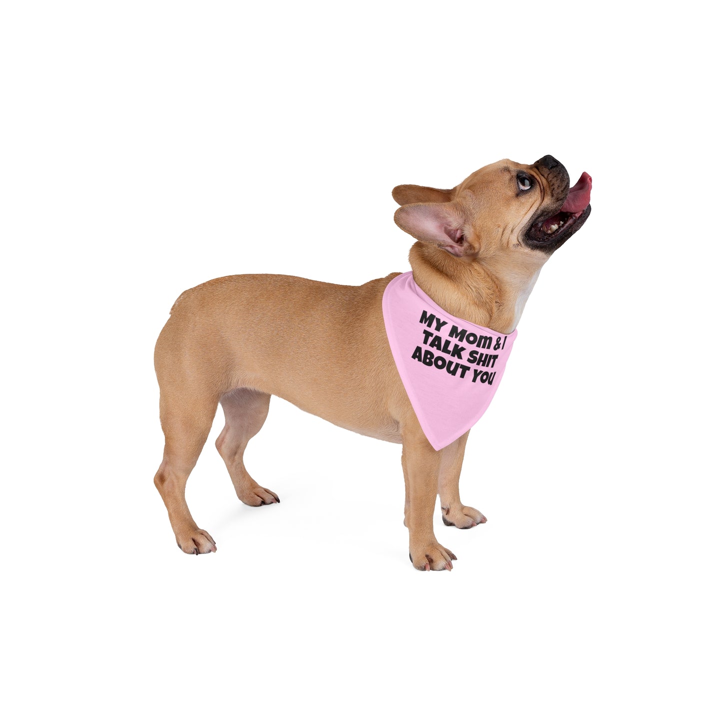 My Mom & I Talk Shit About You Dog Bandana